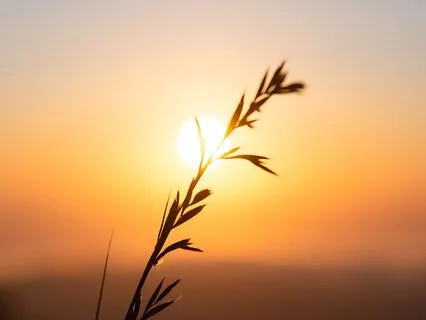 Simplicity And Stillness To Let Go Of Overthinking