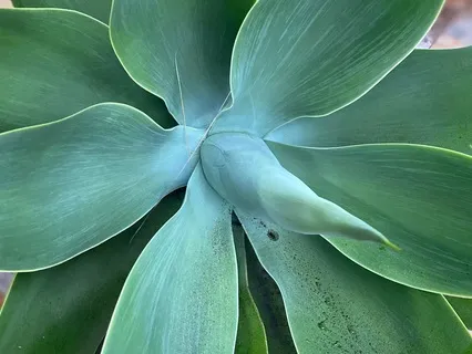 Simplicity : Michigan Slow Flow