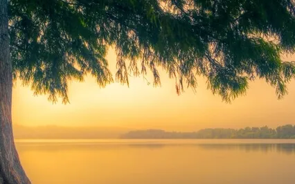 Simplicity, Stillness & Peace: Thriving In Chaos