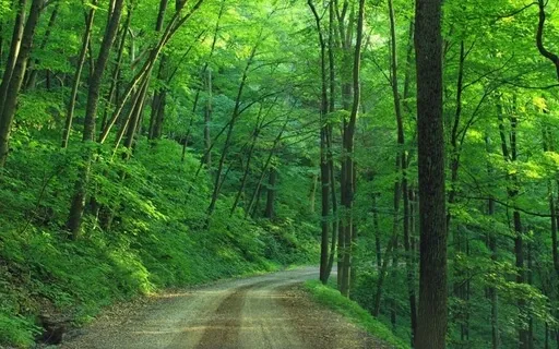 Simply Being: A Meditation For The Outdoors