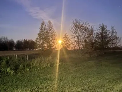 Simply Being: A Meditation On Presence Yoga Nidra