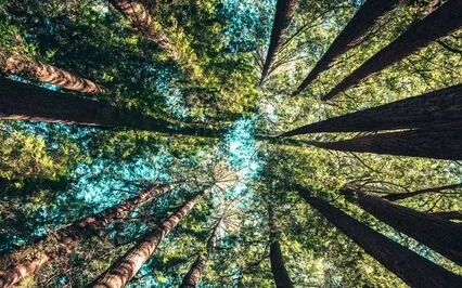 Simply Being Meditation