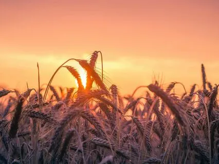 Deep Relaxation: Music For Stress Relief & Inner Peace