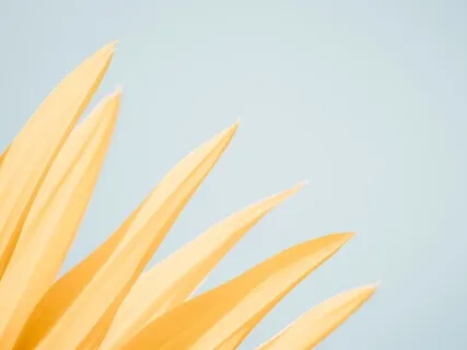 Simply Do Your Best - Thoughts For Reflection