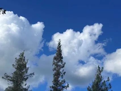 Simply Noticing