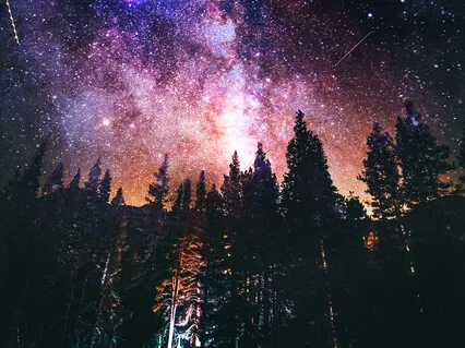 Simply Sleep: Night In Forest - Bedtime Sleep Music For Instant Sleep & Stress Relief