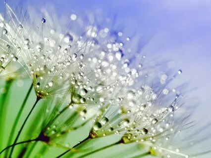 Simply Soften: Releasing Overwhelm