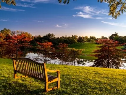 Simply Take Few Minutes