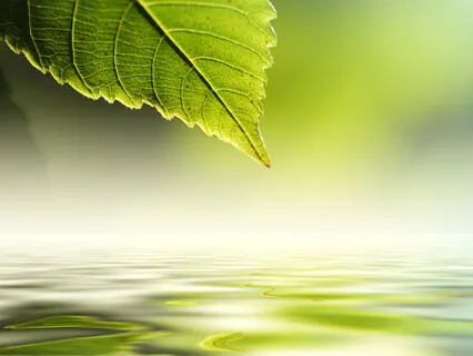 Sincerity - Often Said, Seldom Applied