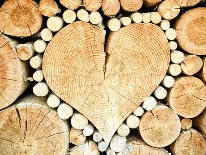 Sing: Be Kind To My Mind