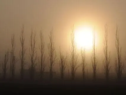 Sing: Inhale Peace, Exhale Calm