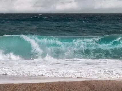 Sing: Ride This Wave