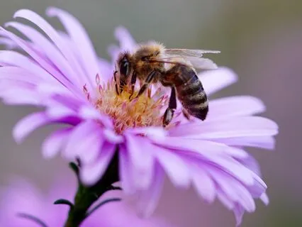 Sing: Time To Breathe, Time To Rest
