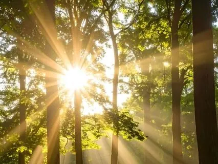 Sing Your New Song — A Meditation On Psalm 149