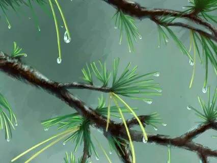 Rain Bowl - Single Chiming