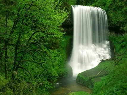 Singing Bowl Meditation For Manifesting Love