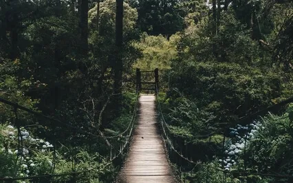 Singing Bowl Song To Release Low Vibrations 