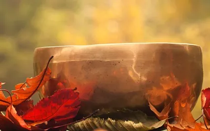 Singing Bowl Sound Meditation 