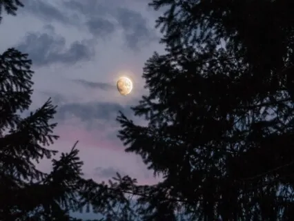 Singing Bowl Soundtrack To Improve Trust 