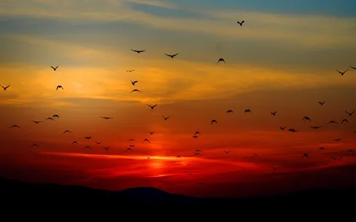 Singing Bowl With Birds - Calming Your Spirit