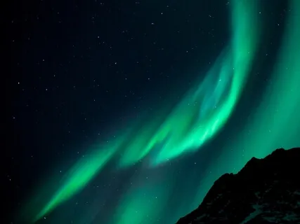 Singing Bowls & Night Sounds 