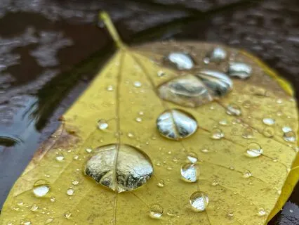 Singing Bowls And Rain For Sleep Or Study | Long Version