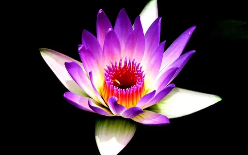 Singing Bowls | Deep Meditation | Tibetan Bowls 