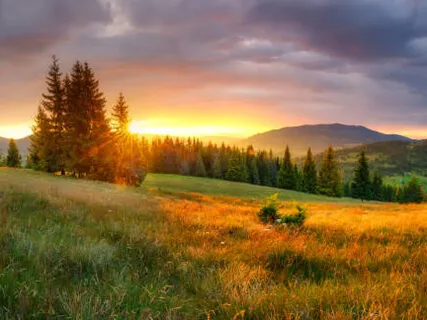 Singing Bowls For Manifesting Abundance By Aligning With Now