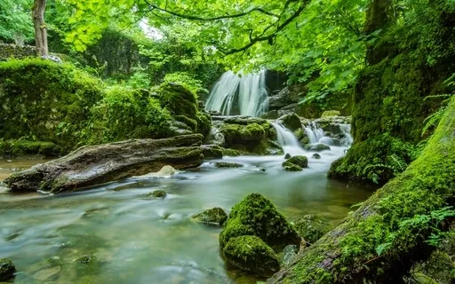 Singing Bowls In The River - Connect With Nature