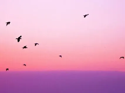 Singing Bowls With Bird Songs