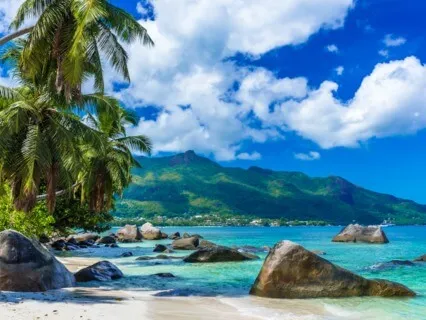 Singing Bowls With Ocean Waves (Shorter Version)