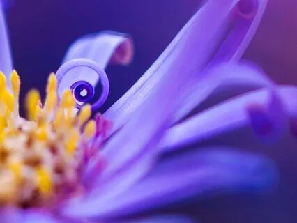 Singing To Align With The Flow Of Life