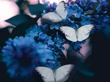 Singing To Reveal Your True Self