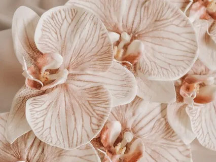 Singing With Orchids, A Meditation With Nature