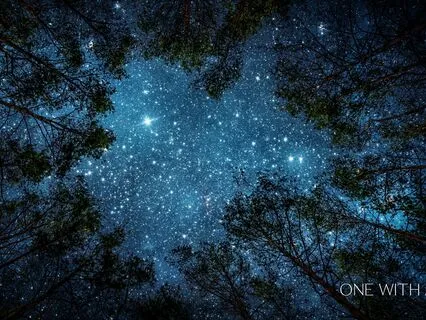 Sink Into Sleep | Meditation To Calm Your Body And Mind