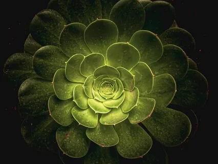 Sink Into Sleep Yoga Nidra