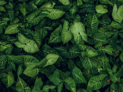 Sink Into The Emptiness