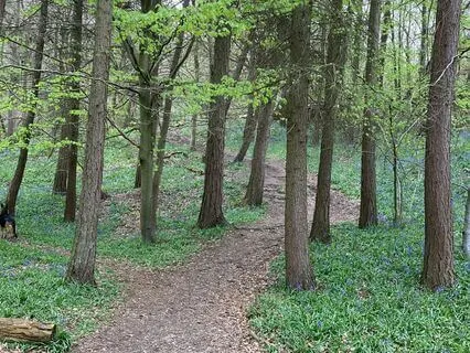 Sir Gawain and the Green Knight, Part Two