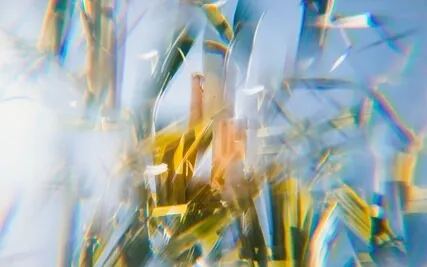 Sit Back Into Being (Even If You're Busy)