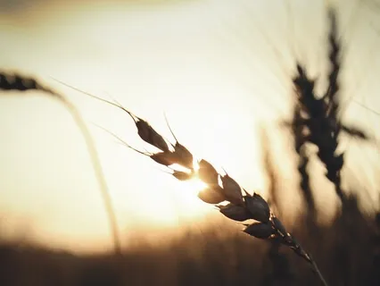 Sit With Your Divine Nature