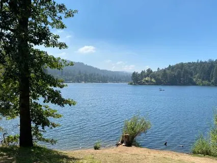 Sitar Serenity: Bamboo Dreamscape