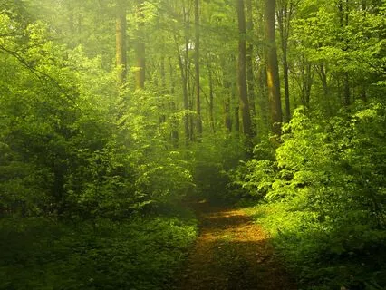 Sitting And Breathing