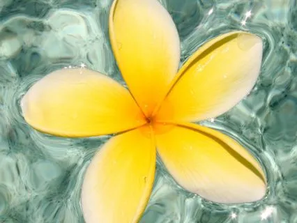 Sitting Beside Your Heart When Love Feels Hard Meditation