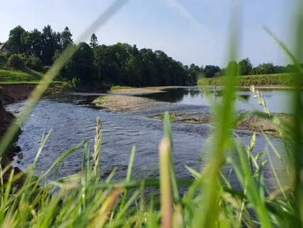 Sitting By The River On Sunny Day