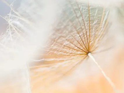 Sitting For Spiritual Awareness