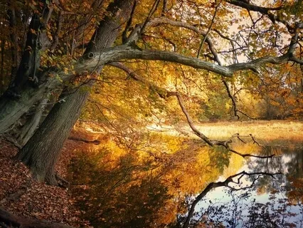 Sitting Here In Silence