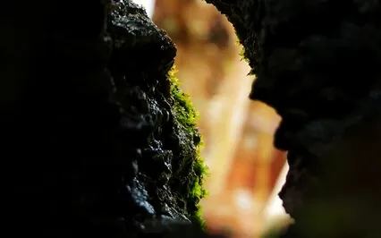 Sitting In Discomfort