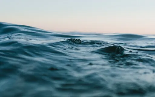 Sitting In Silence, Sitting With Silence!