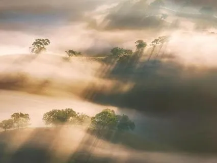 Sitting In Stillness: Reconnecting With Inner Guidance