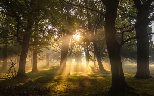 Sitting In The Power